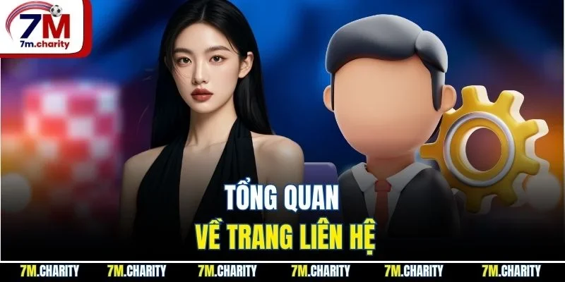 Tổng quan về trang liên hệ